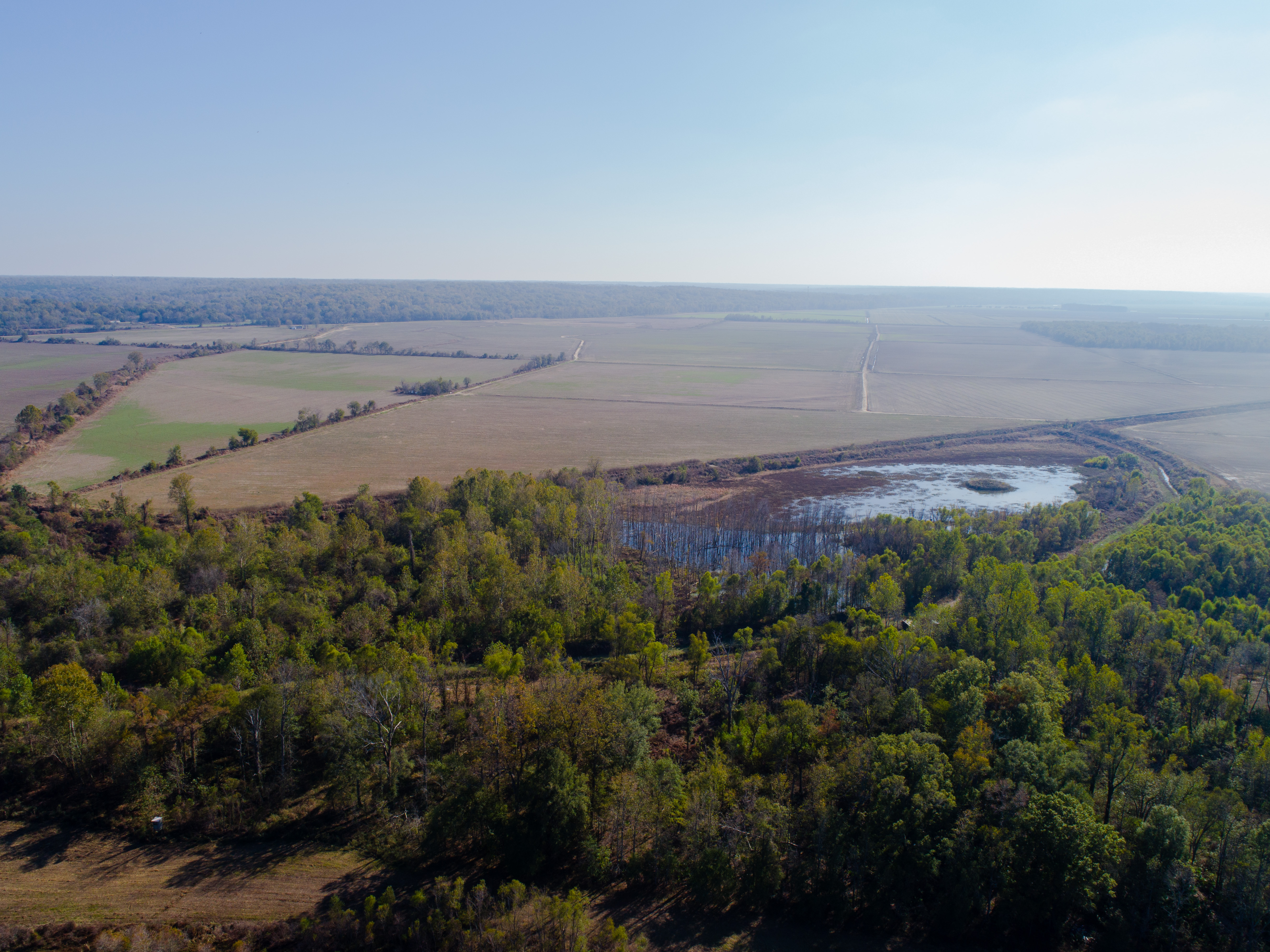 Yazoo City Farm