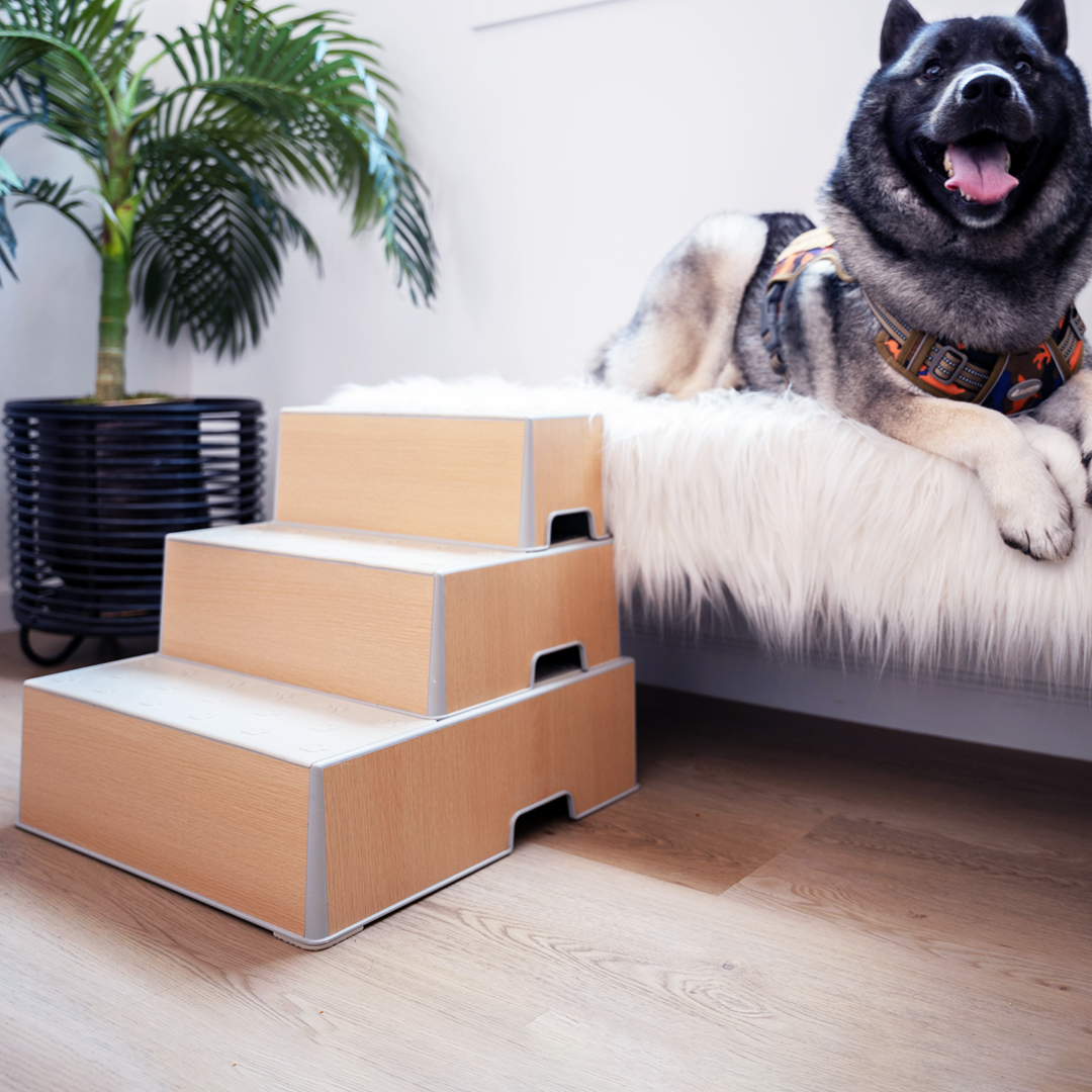 Prestagon's Modular, Magnetic Pet Steps