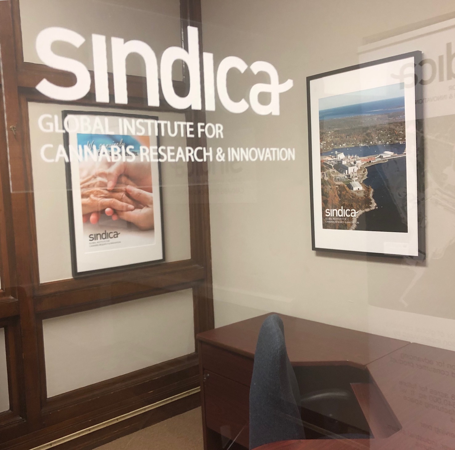 Sindica Global Institute for Cannabis Research & Innovation