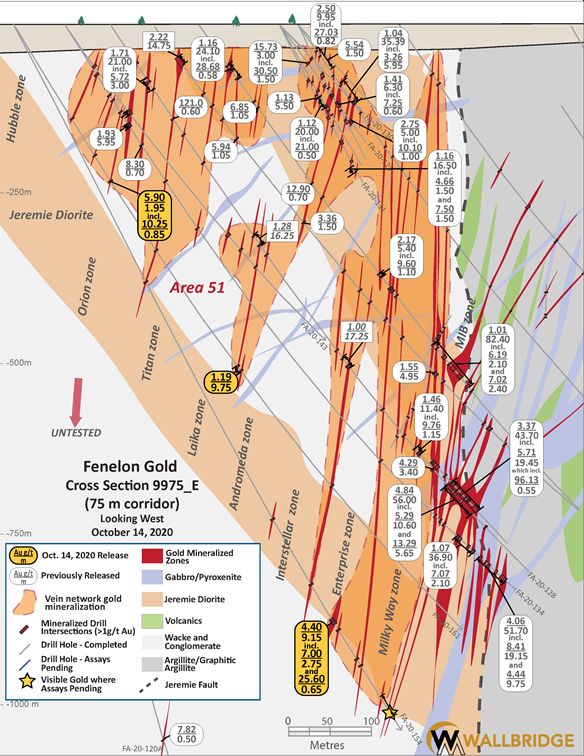 Fenelon Gold, 9975 Cross Section