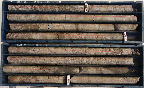 Figure 3b: Picture of Diamond Drill Core Samples from Hole DSB-12