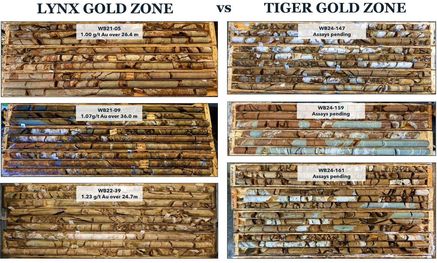 Visual comparison of core from the Lynx and Tiger Gold Zones