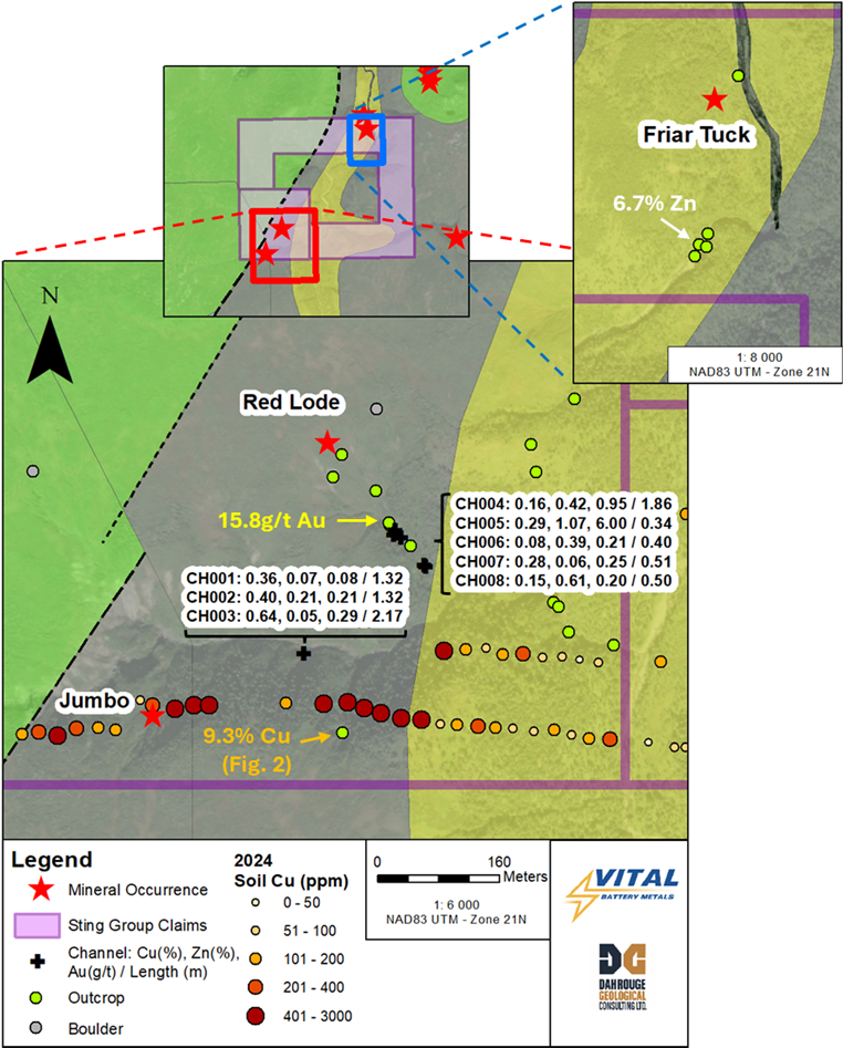 Sting Copper Project Summer 2024 Field Work Results