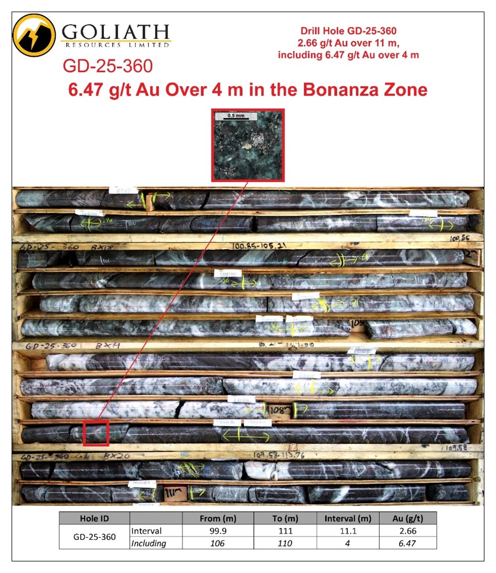 Infographic 6