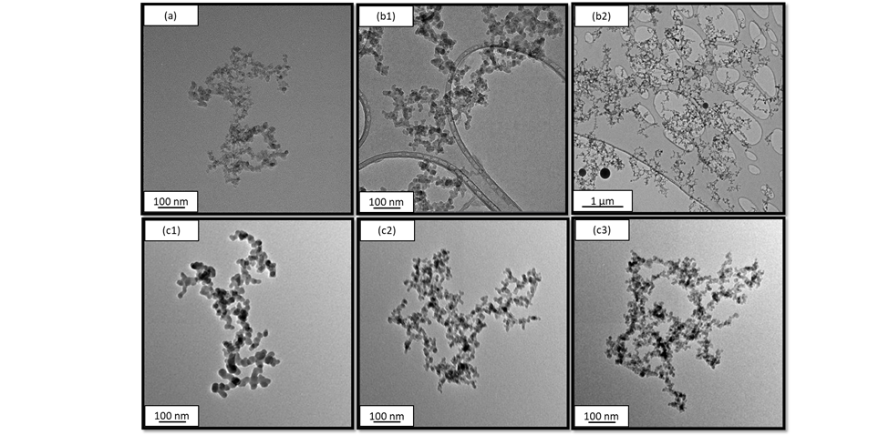 Figure 1. TEM images of fumed silica nanoparticles, (a) Lab-Scale Silica Polvere collected from inside the Reactor (b1-b2) Pilot-Scale Silica Polvere