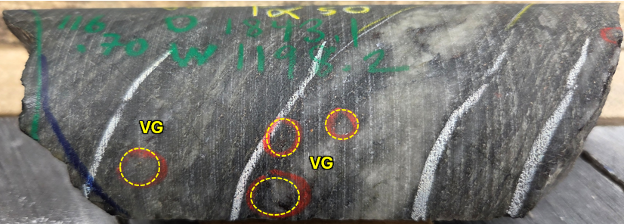 Figure 3. Multiple instances of visible gold in hole RLG-25-190 within a sheared smoky quartz vein. Drill core is HQ (63.5mm) diameter image