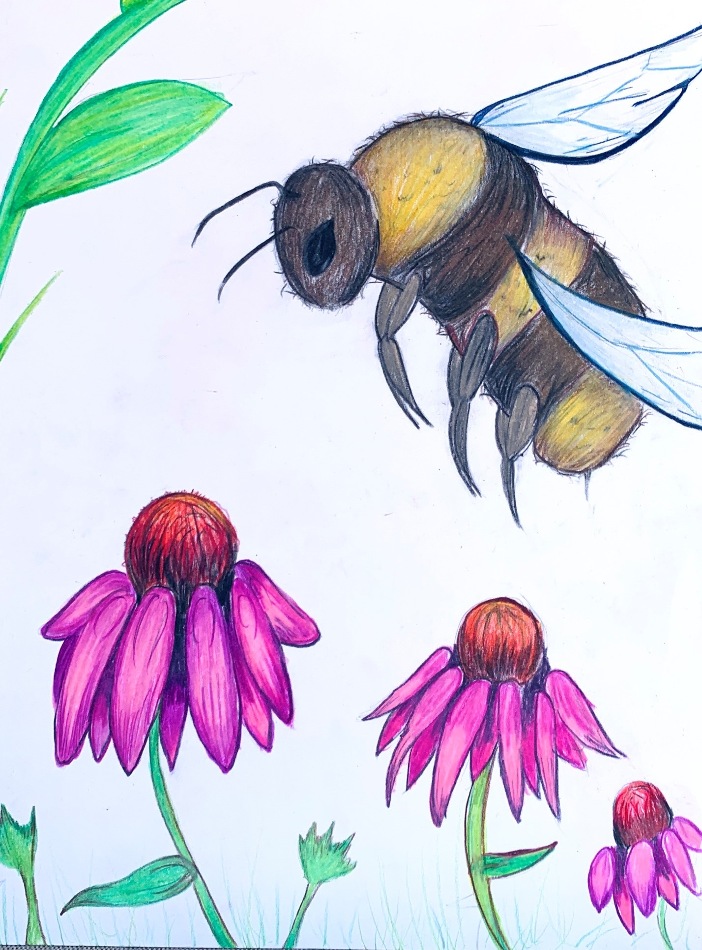 Journée mondiale des abeilles mellifère