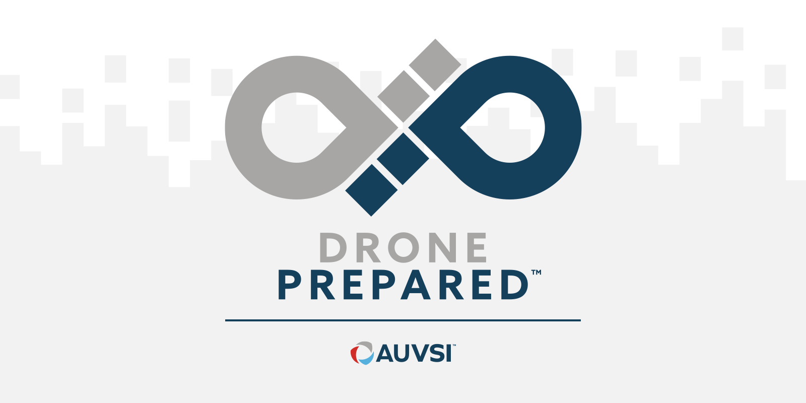 Drone Prepared