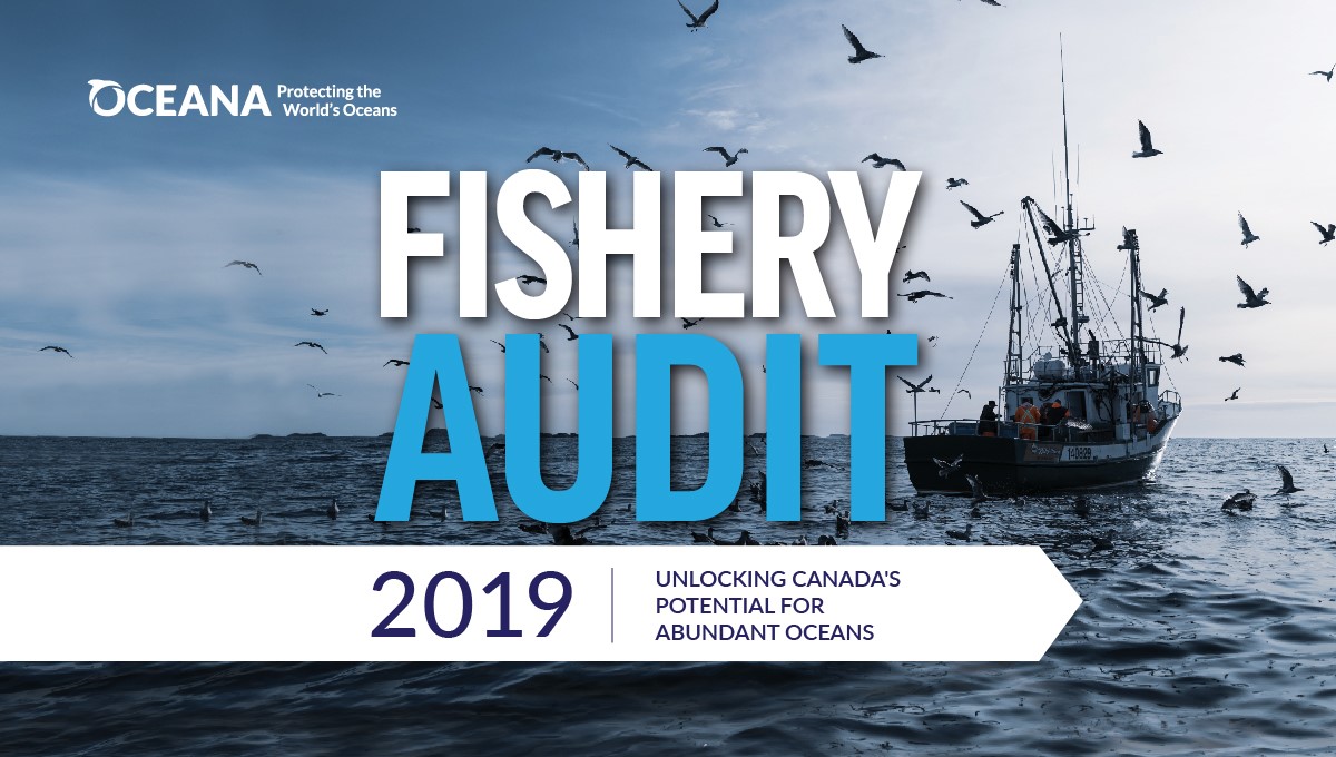 Oceana Audit 2019