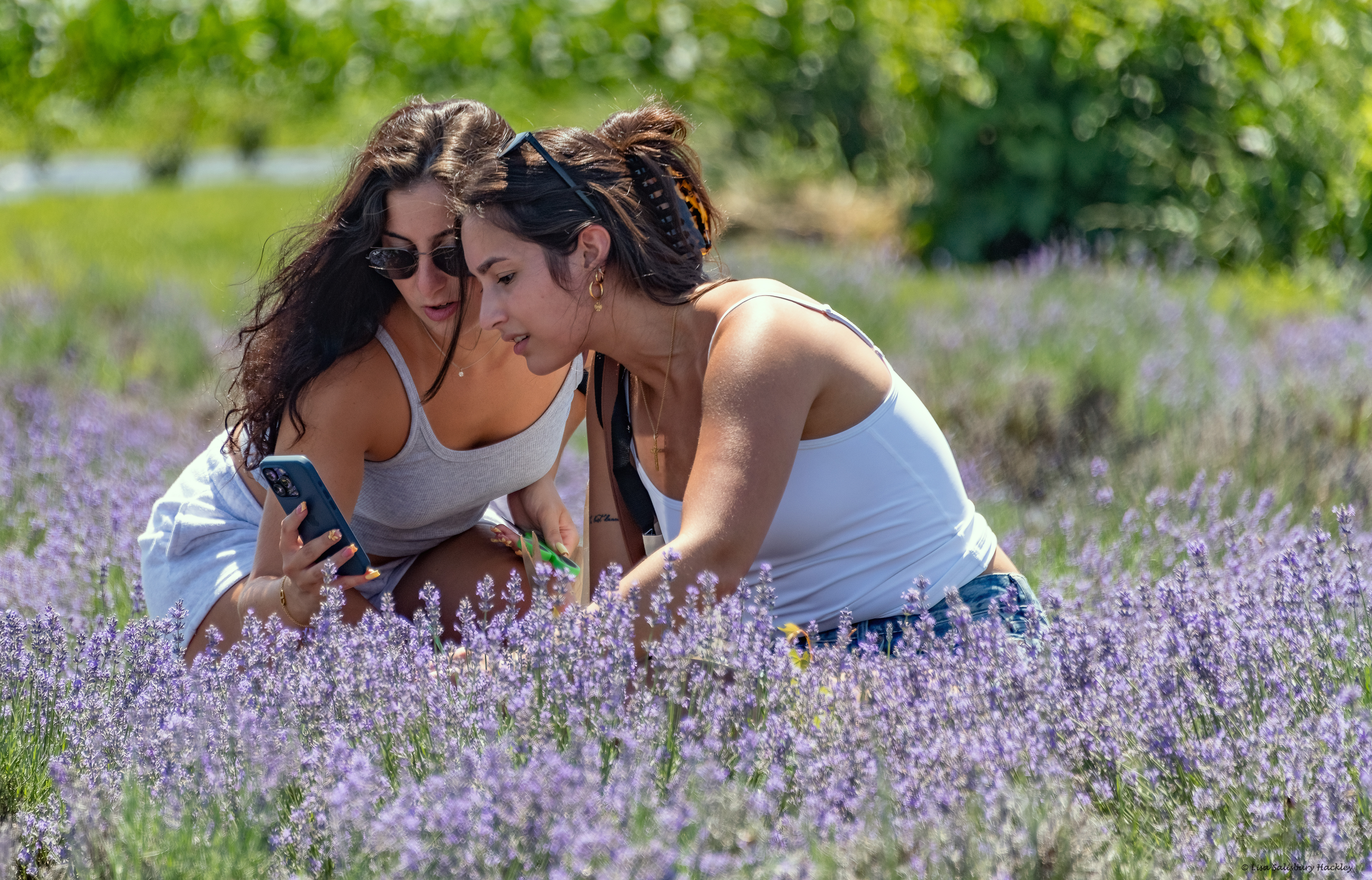 two young women taking cell phone photo in lavender field