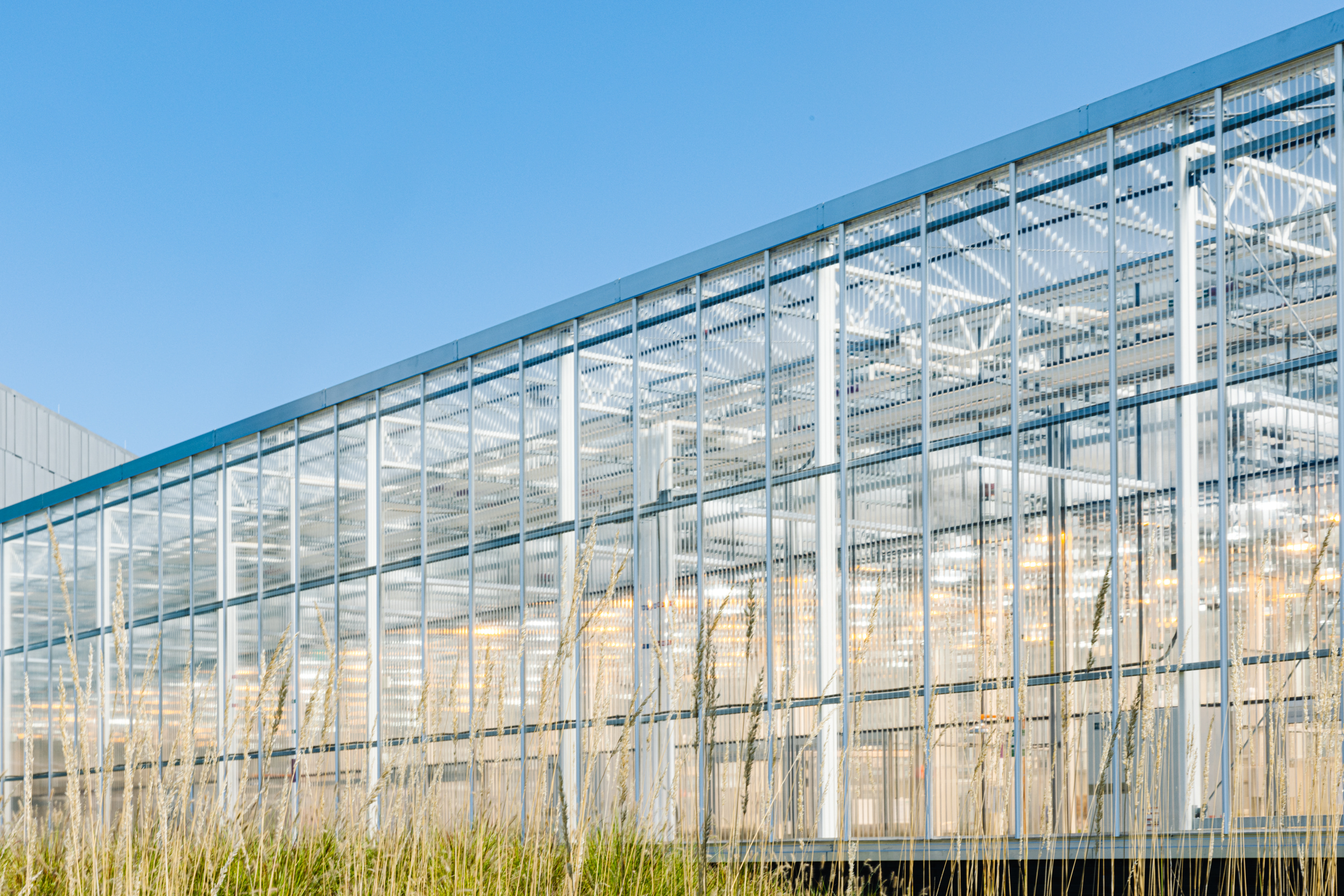 GreenLight's RTP greenhouse facility in North Carolina