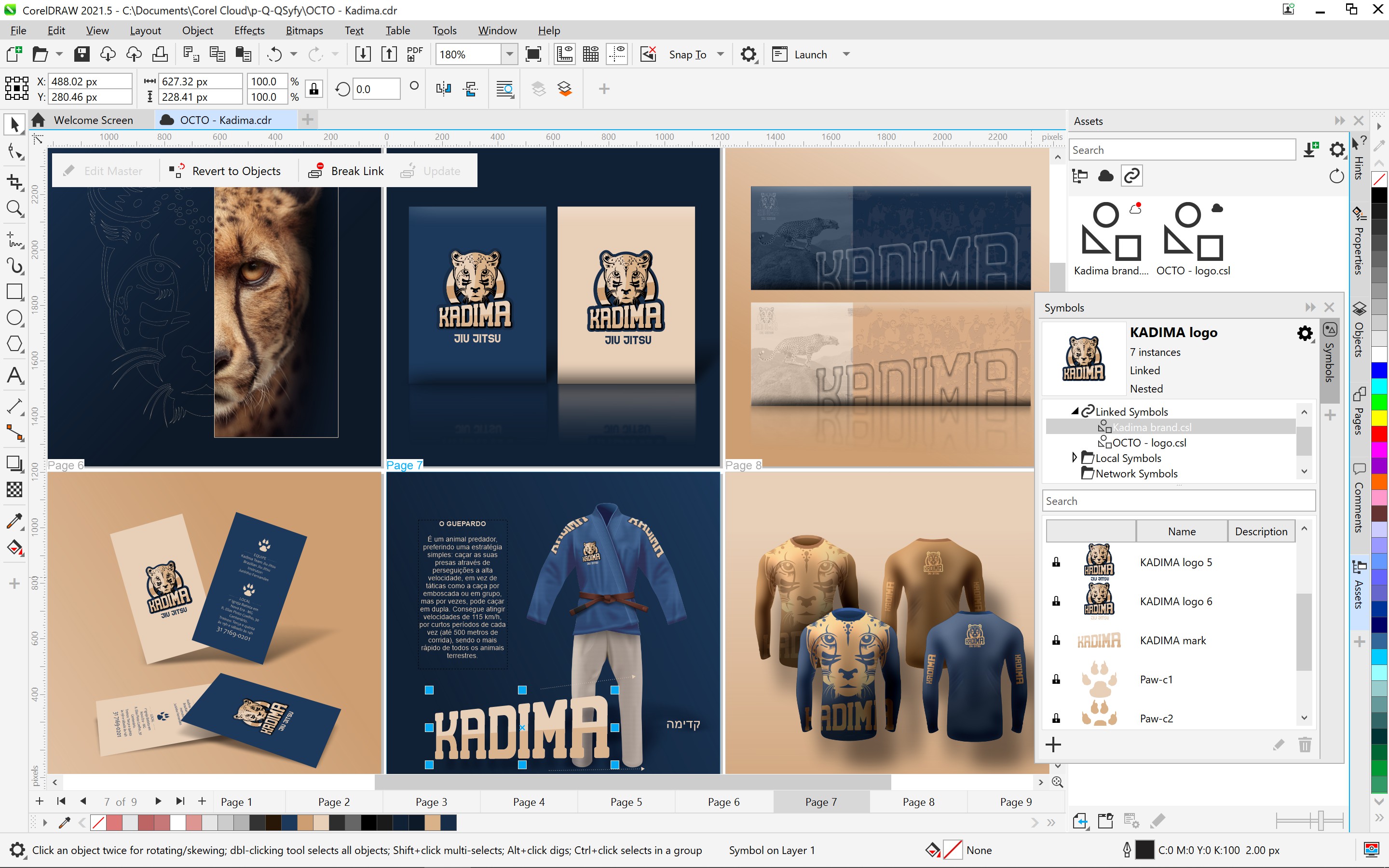 CorelDRAW Graphics Suite 2021 for Windows - Dynamic Asset Management