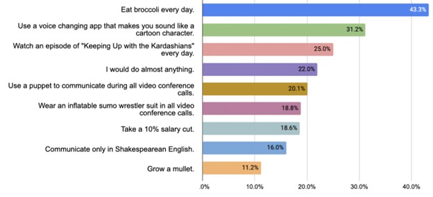 RemoteBridge survey results