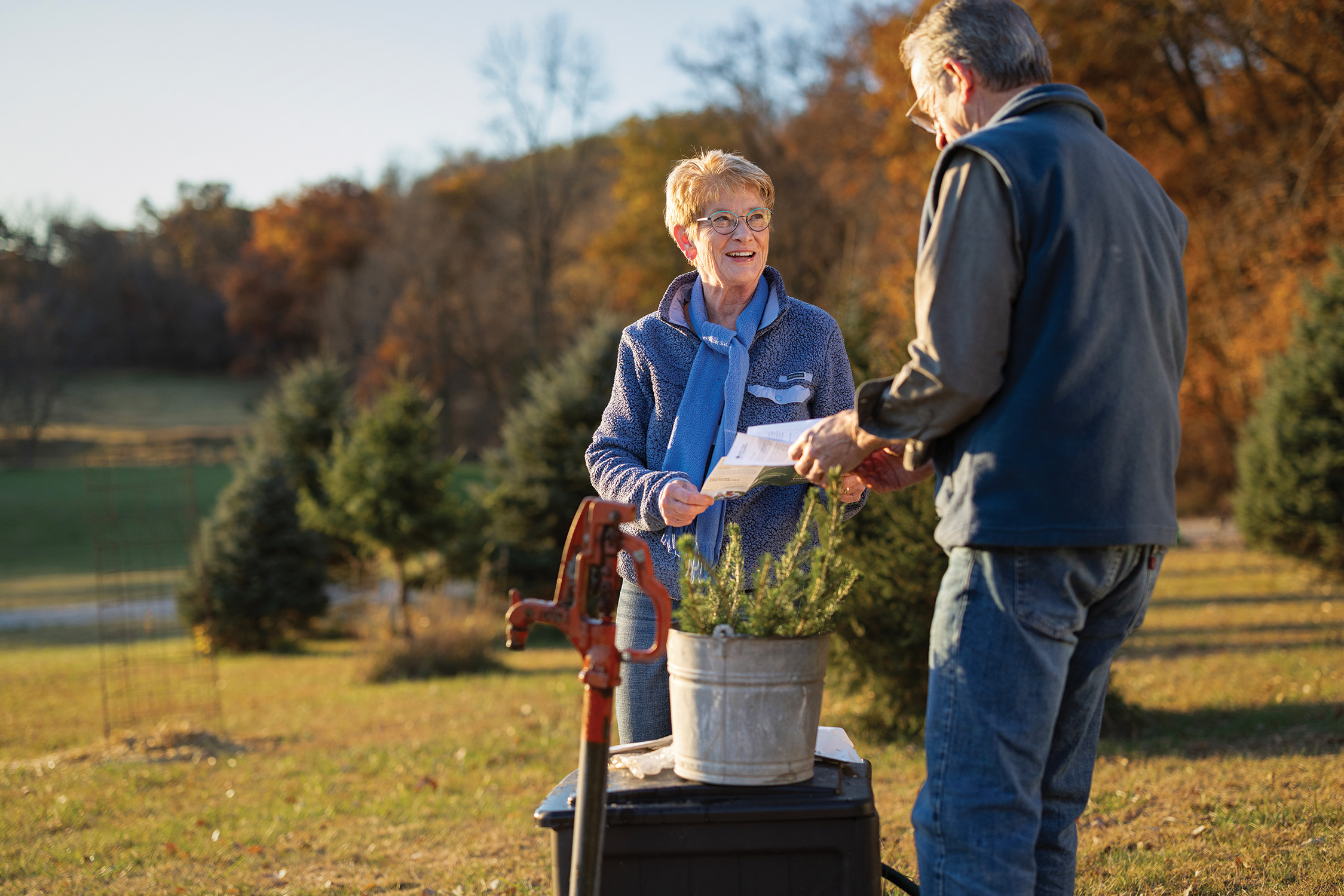 Fall Tree Planting: Expert Guidance for Optimal Growth: Photos courtesy of Arbor Day Foundation