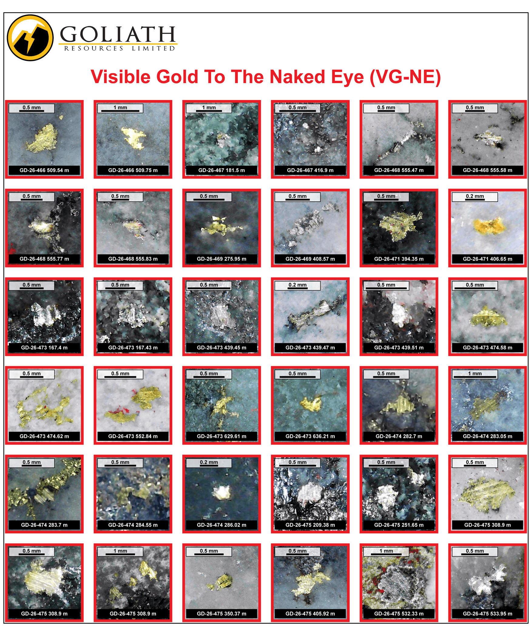Figure 1d VG-NE