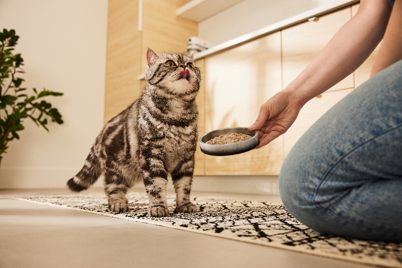 Pet Valu Canada Inc