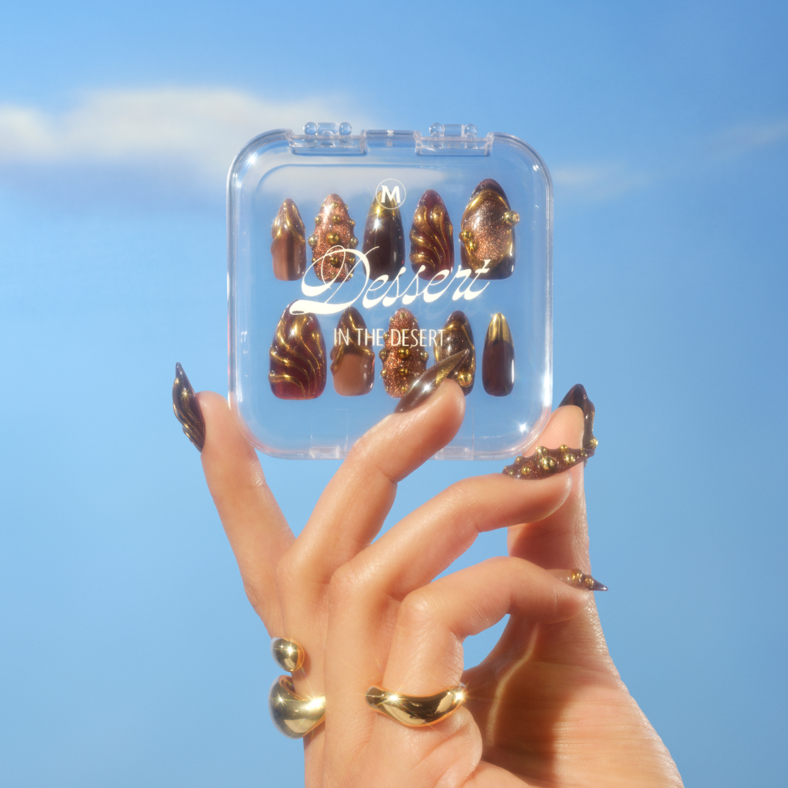 Magnum_Nails_with_Case 