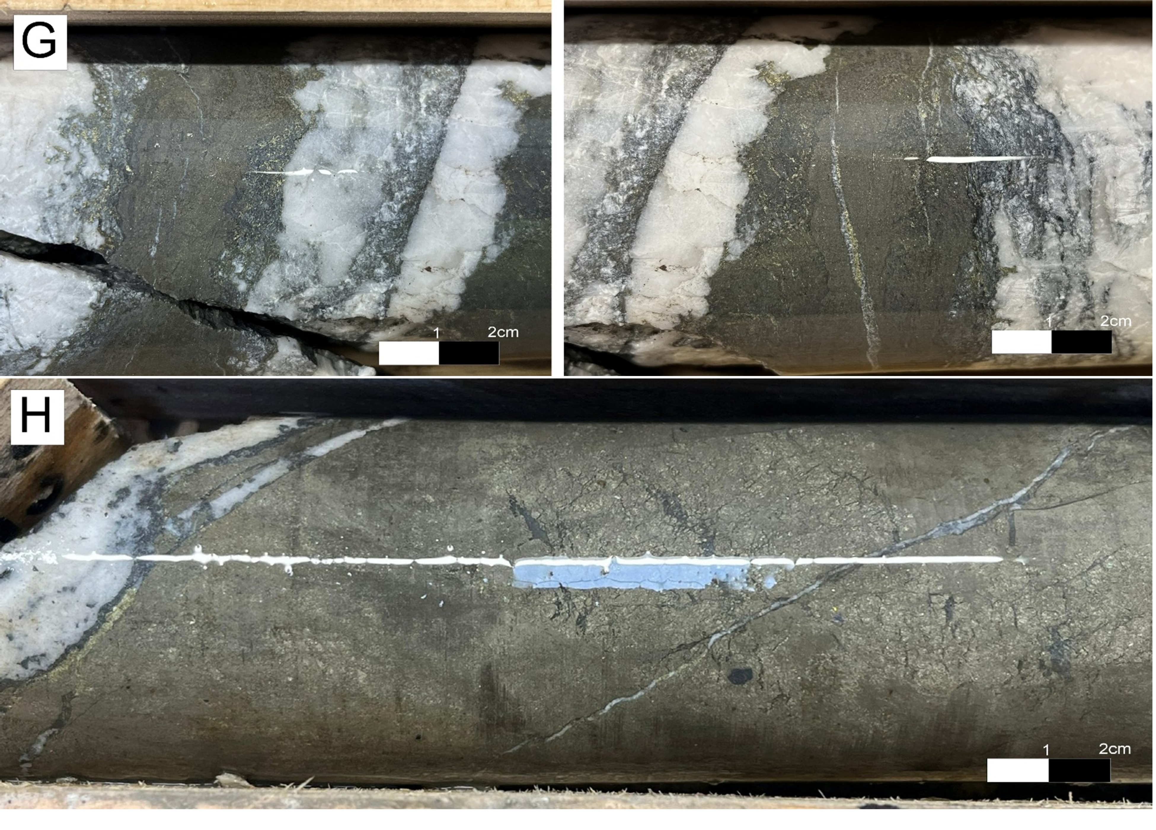 Figure 5 continued image