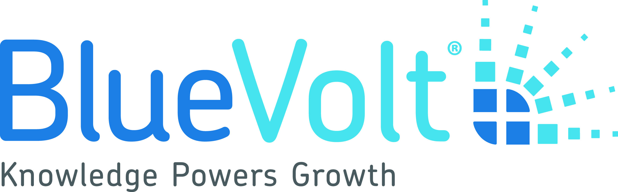 BlueVolt_Logo.jpg