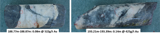 Figure 4. Photograph of 2 veins within the Eastern Vein Array intersected in BC187 highlighting significant individual assays.