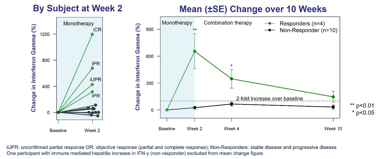 Percentage Change (+, -) from Baseline in Plasma IFN- γ