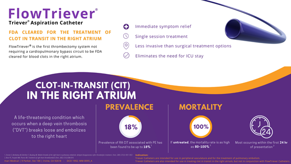 CIT Infographic V8