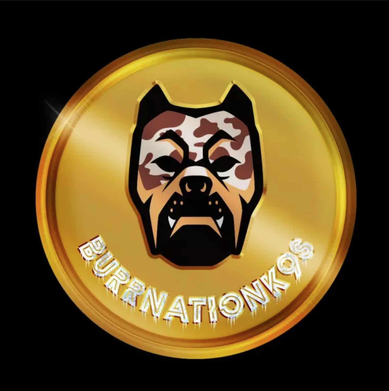 burrnationk9s-logo.png