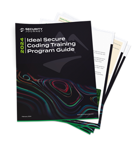 Ideal Secure Coding Training Program Guide