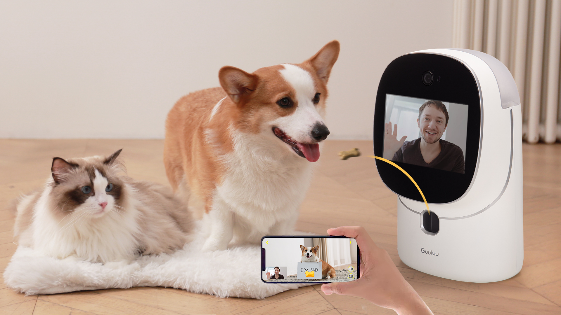 Camera that lets you talk to hot sale your dog