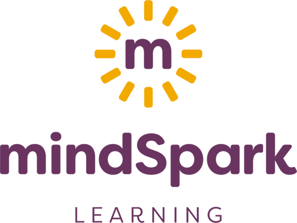 mindSpark Learning E