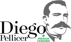 Diego Pellicer New Logo.png
