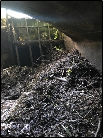 After 2018 Hurricanes Damage