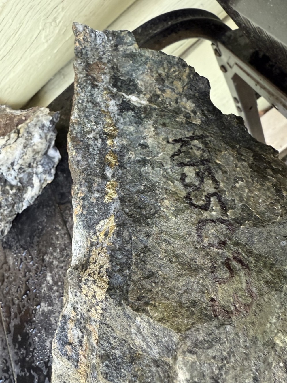 AZ Sample K155053 from outcrop exposure of intensely altered diorite dyke with band of chalcopyrite and minor bornite and pyrite.