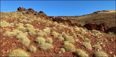 Nunyerry North high-grade shallow-dipping quartz vein-related gold mineralisation.