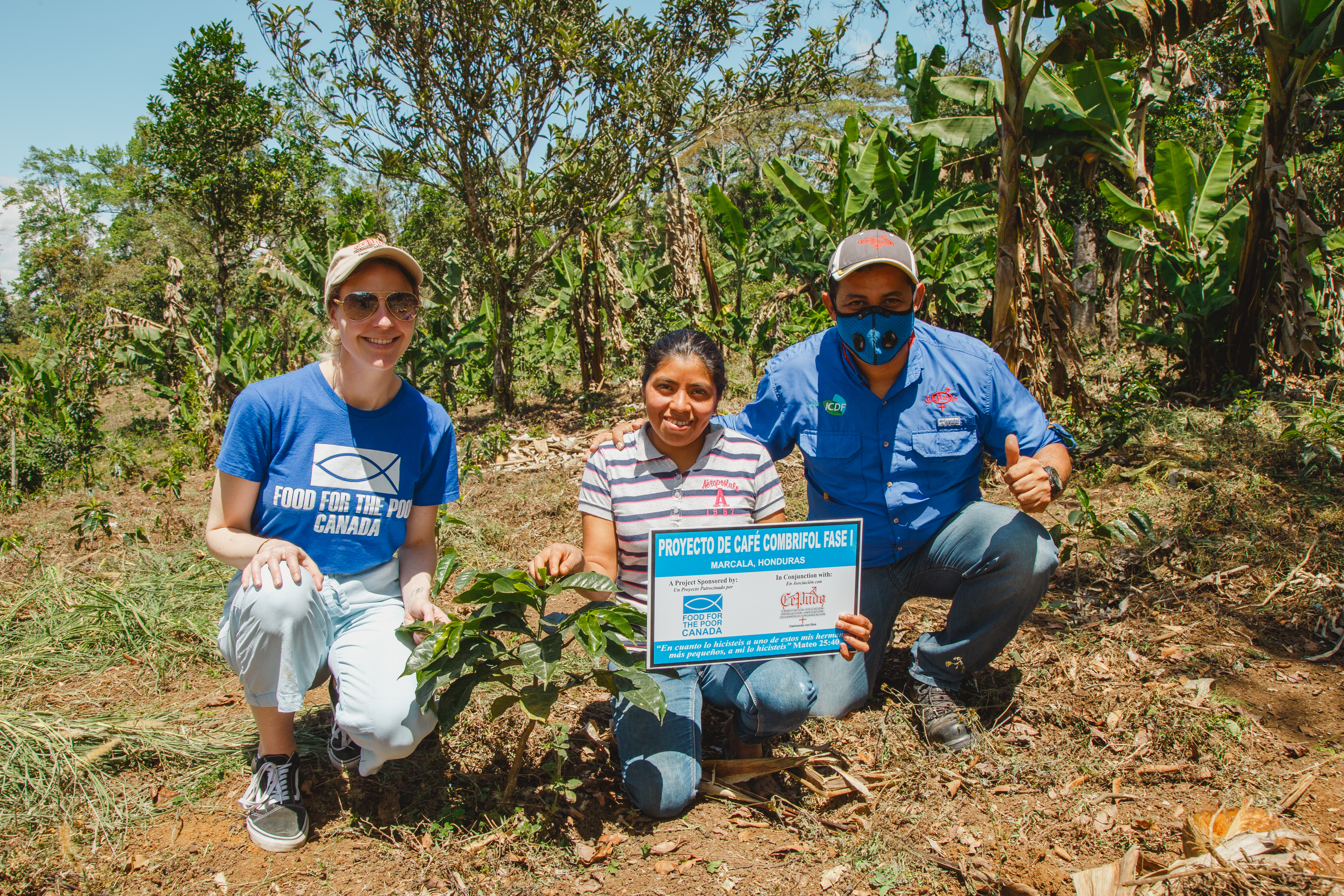 Representatives from FFPC, CEPUDO and the member of the coffee farming initiative, crouch near a young coffee plant 