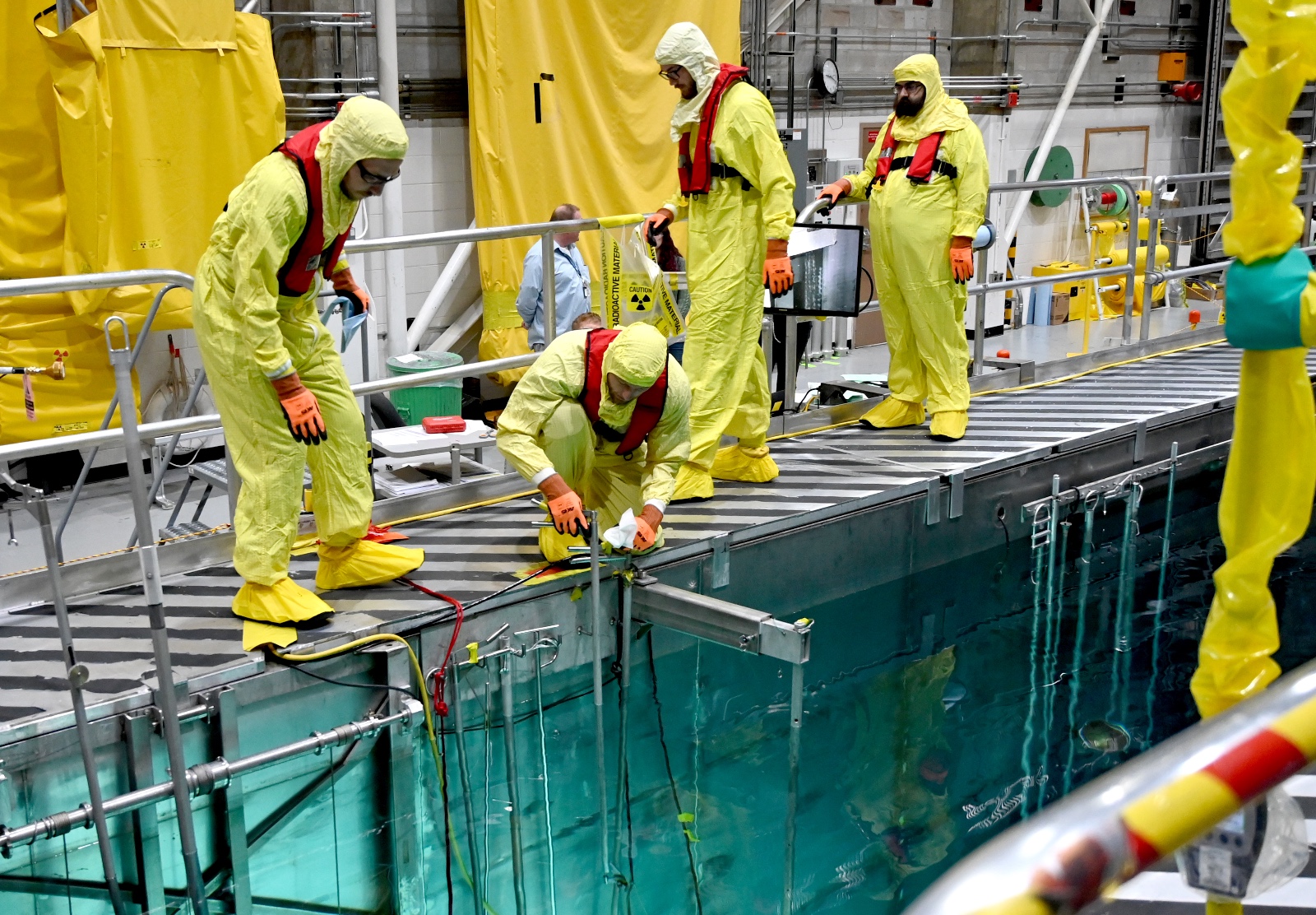 INL team with ANEEL™ fuel rodlets 