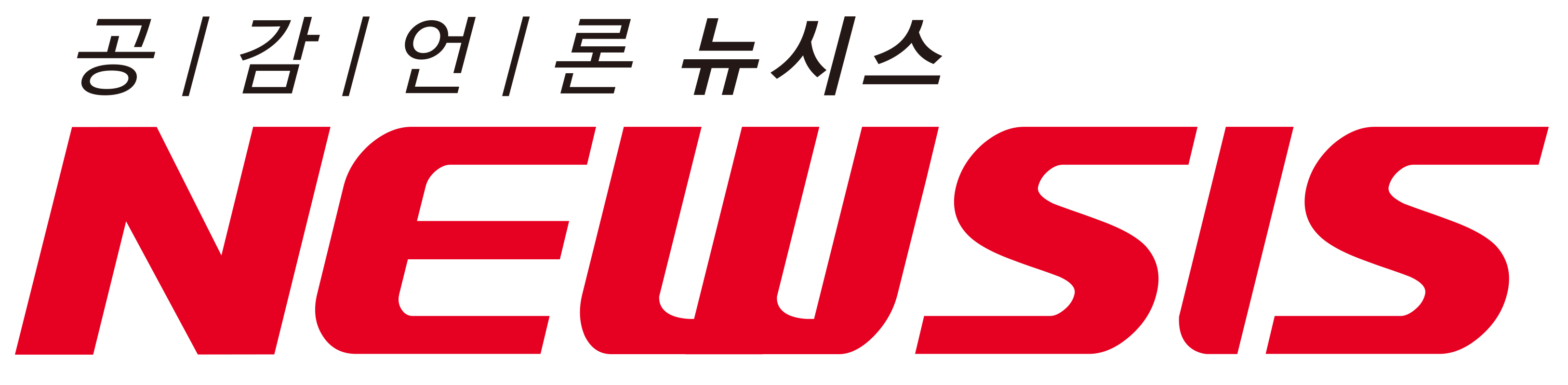 NEWSIS logo.jpg
