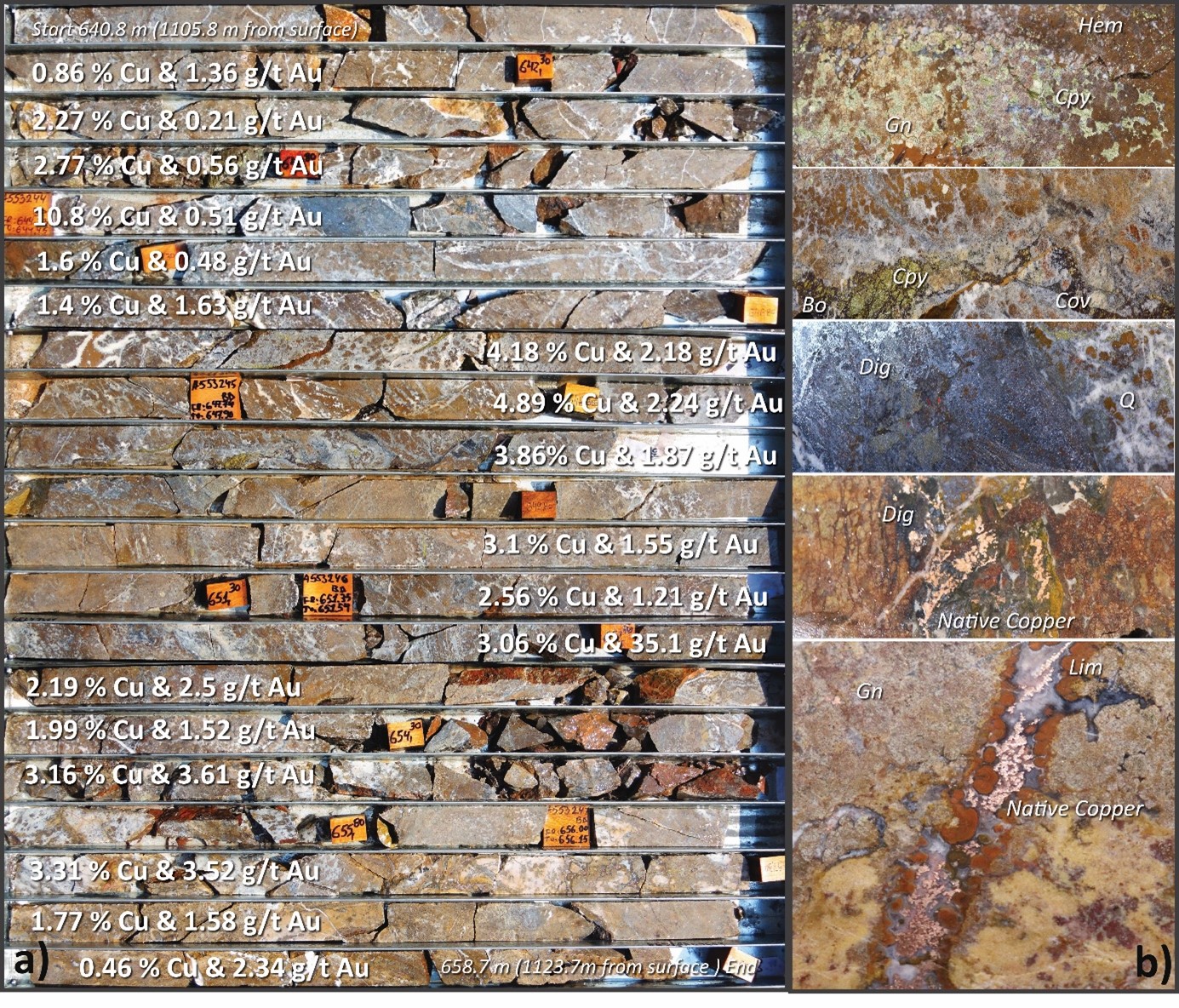 Images showing the core photos of copper-gold manto skarn mineralization from hole DPDD018A, taken from within the interval reporting 15 metres at 3.38% Cu, 4 g/t Au and 14.7 g/t Ag from 643 metres downhole (1,108 m total depth from surface).