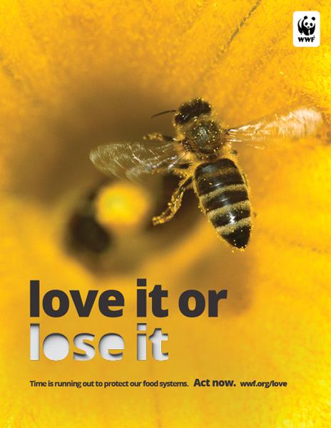 WWF's Love It or Lose It public service advertisement