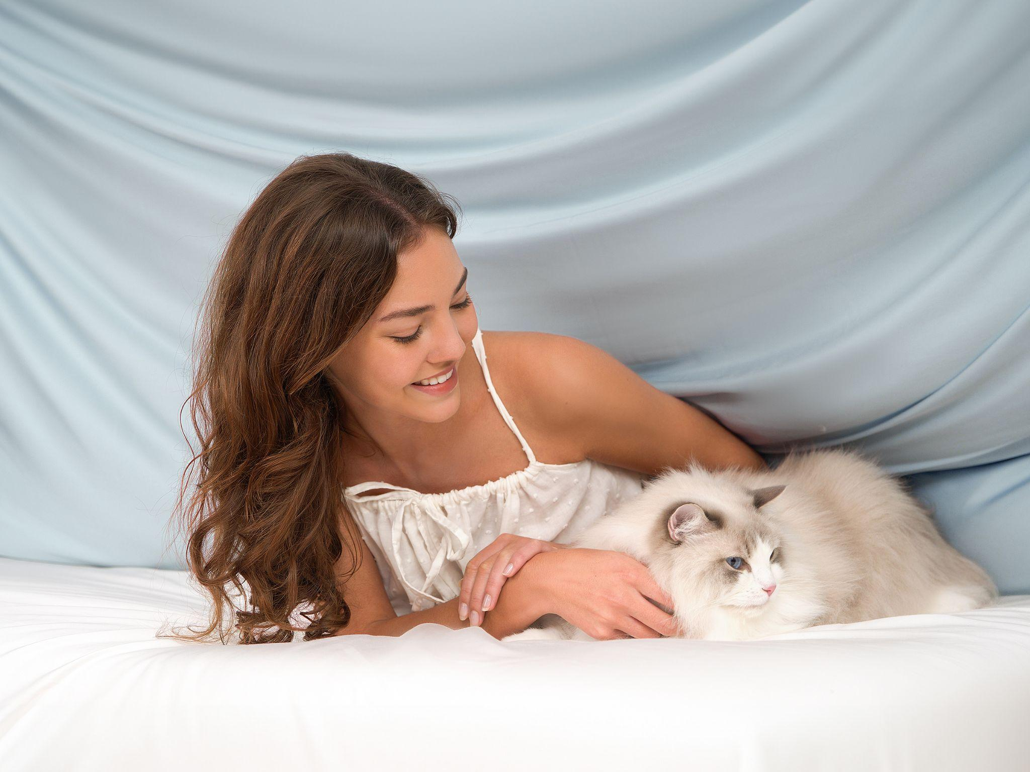 JselfBedding bamboo fitted sheet Advanced Textile Guard for pet-friendly