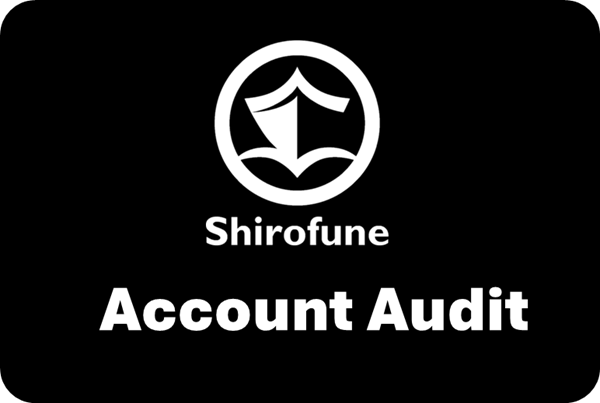 account audit