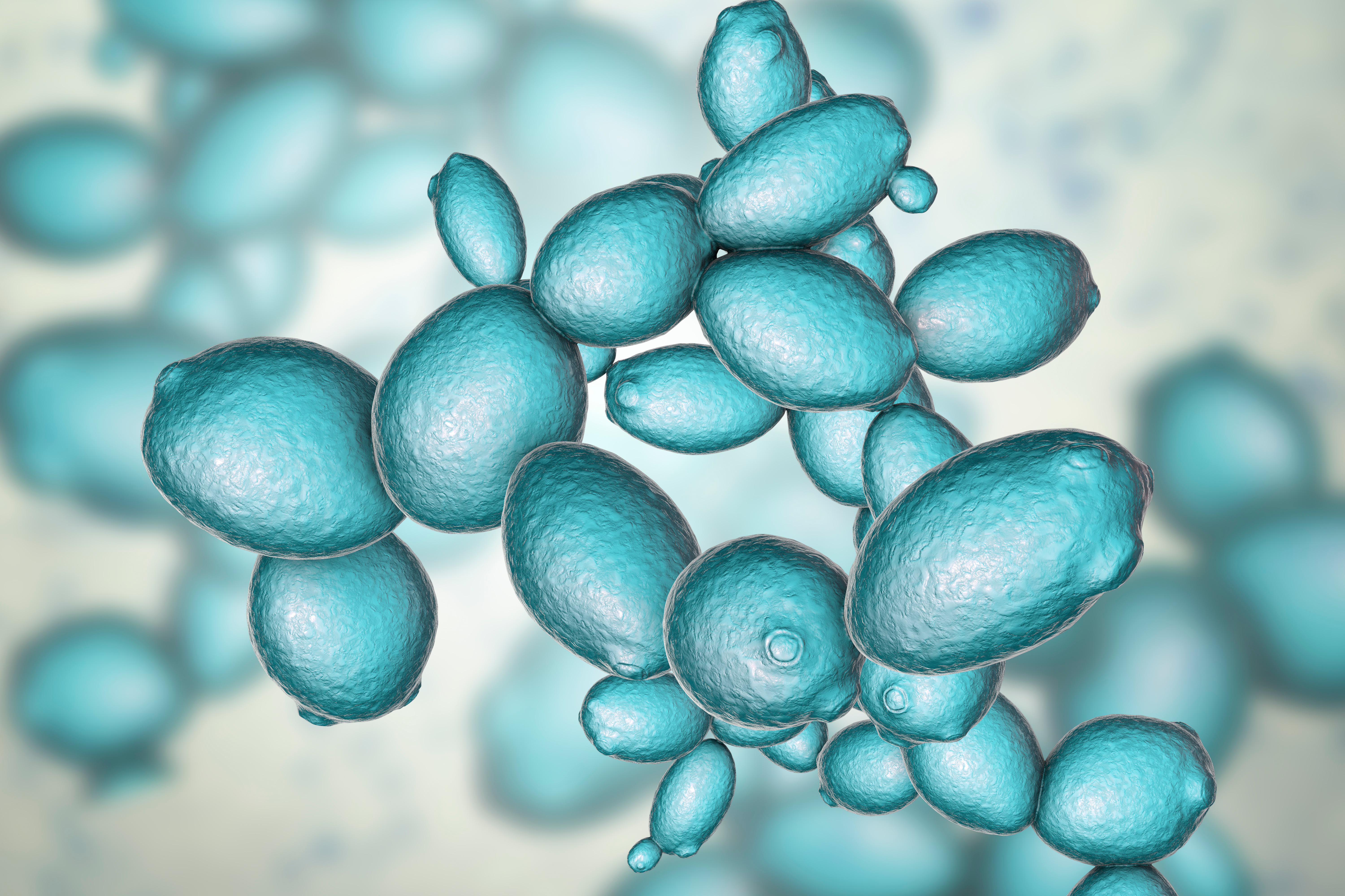 AdobeStock_234304937_Yeast.jpeg