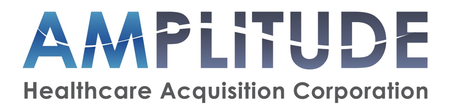 Amplitude Logo.jpg