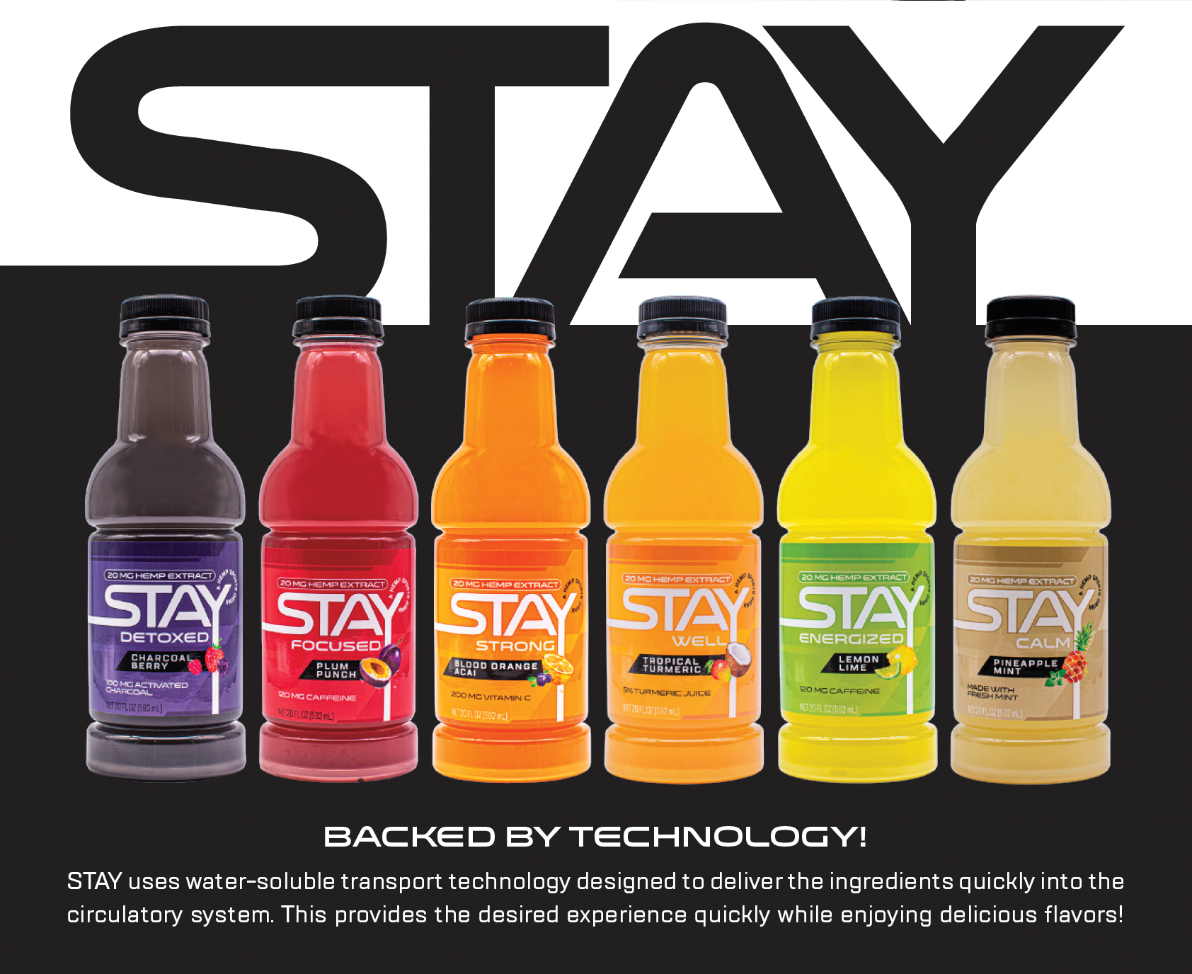 STAY Beverage Product Line 