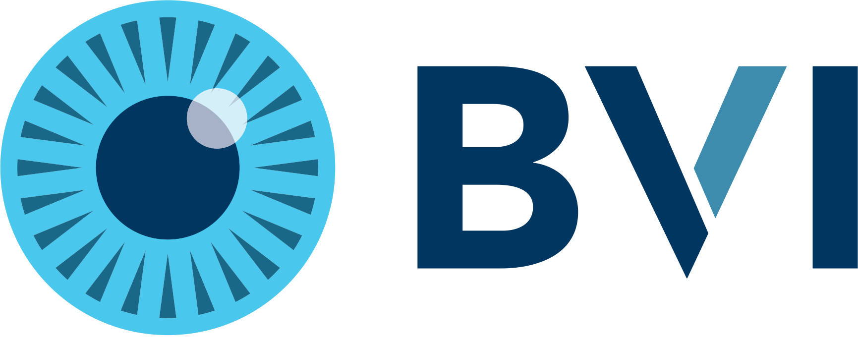 bvi-logo-pos-cmyk-full-CS6.png