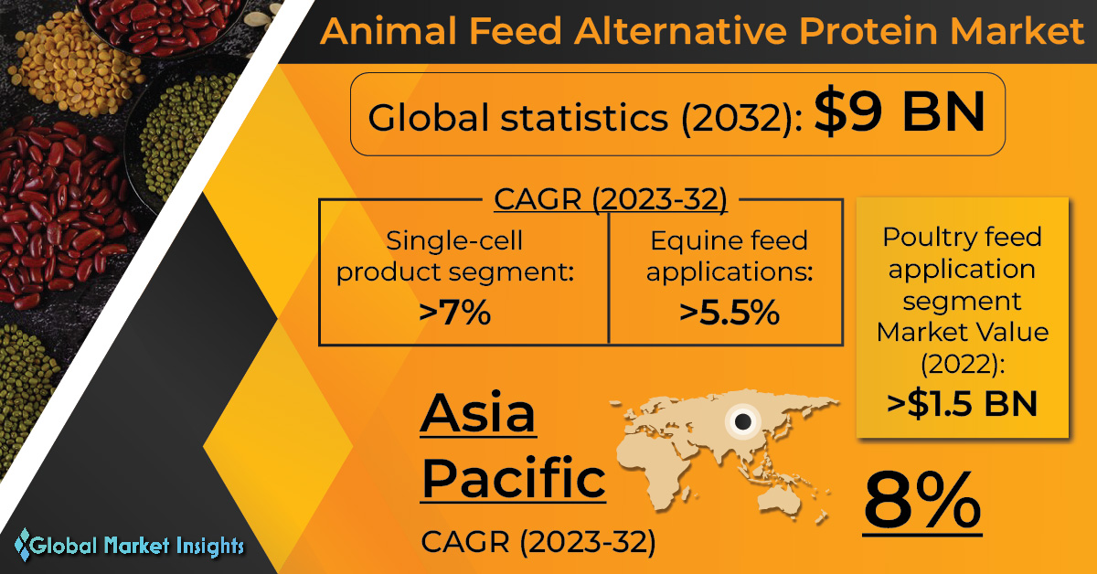 Animal Feed Different Protein Market to succeed in Bn by