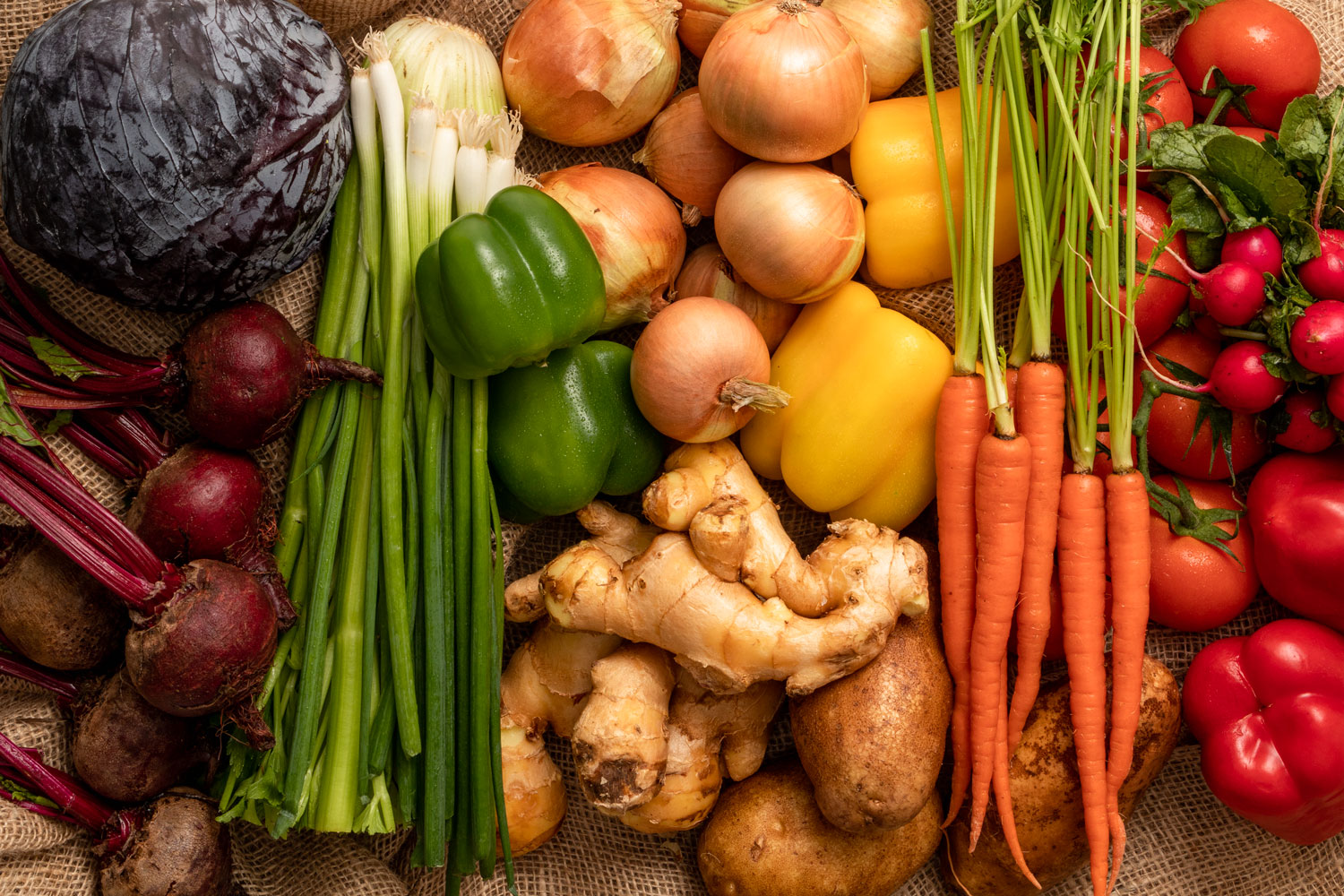 Rainbow-Harvest---Polaris-Creative-Food-Photography