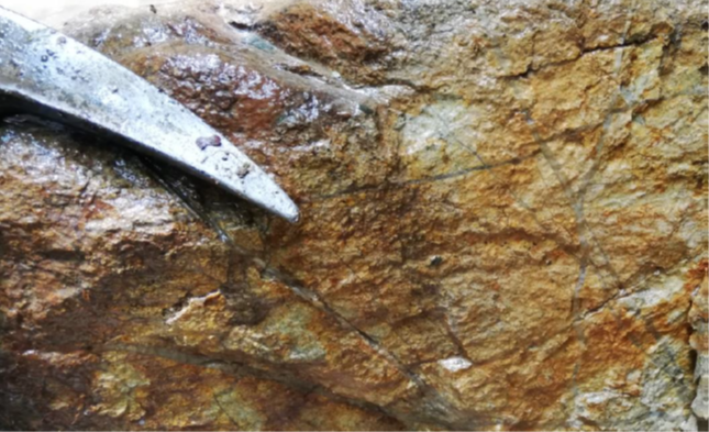 Figure 5(c): Box: Porphyry Style Stockwork Mineralization and Veinlets in Outcrop Samples