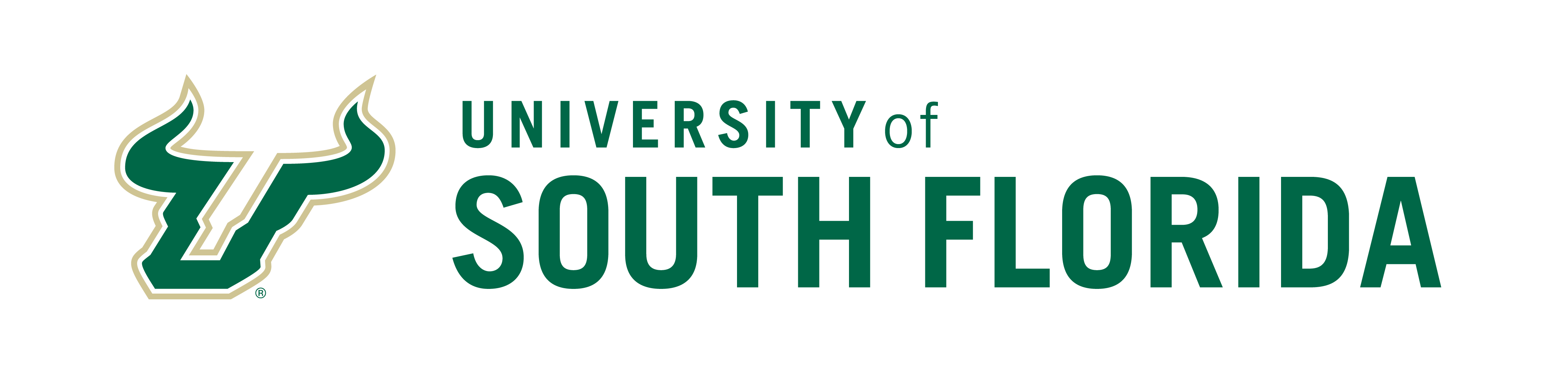 USF ranks among top 