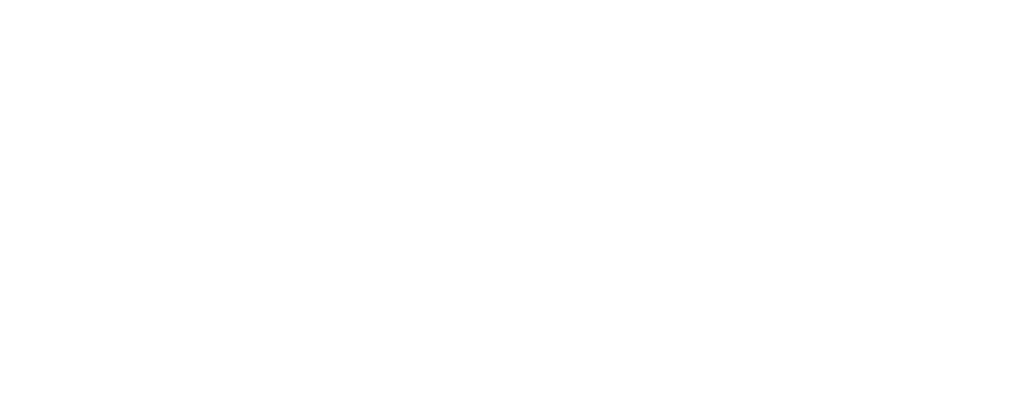 Lapix-LogoFinal_Logo-White.png